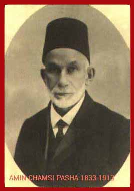 Amin Chamsi Pasha