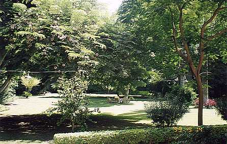 Elie Mosseri garden