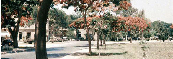 maadi