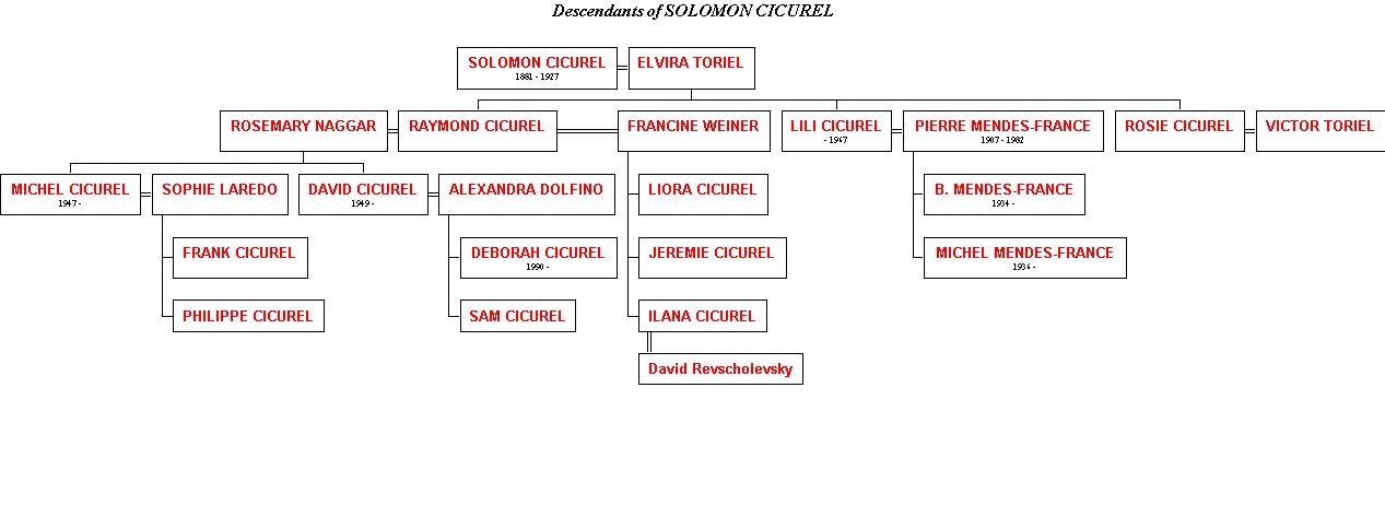 SOLMON CICUREL FAMILY TREE