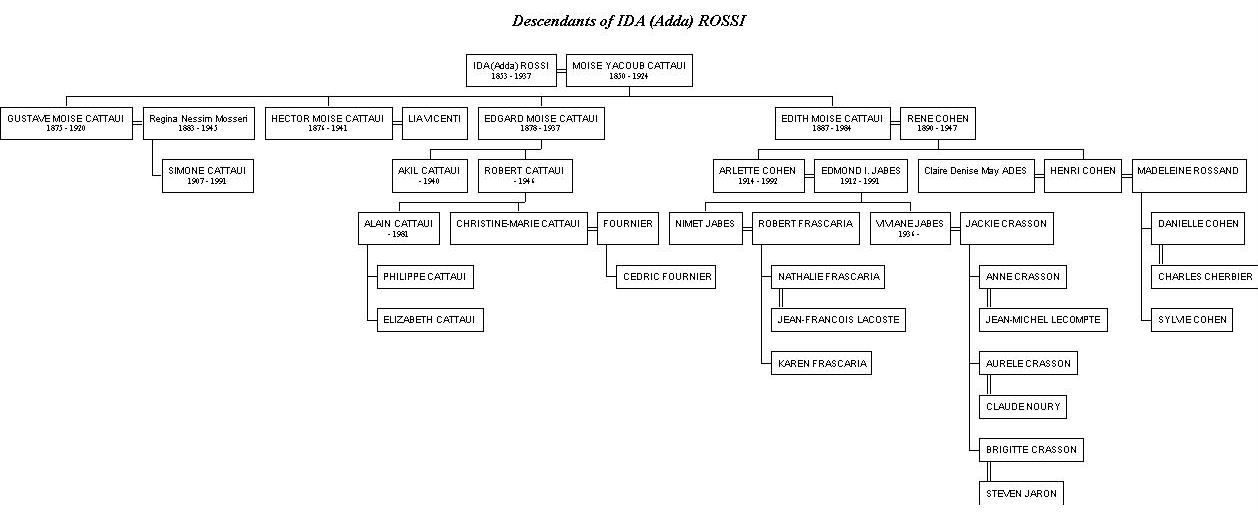 Moise Cattaui family tree