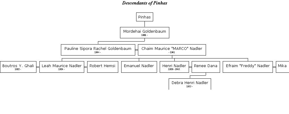 Nadler tree