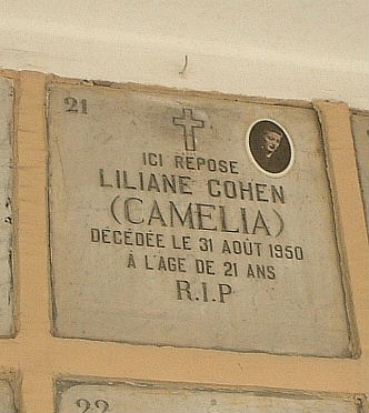 Liliane Cohen - Camelia