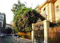 Nileside view of Villa Mosseri
