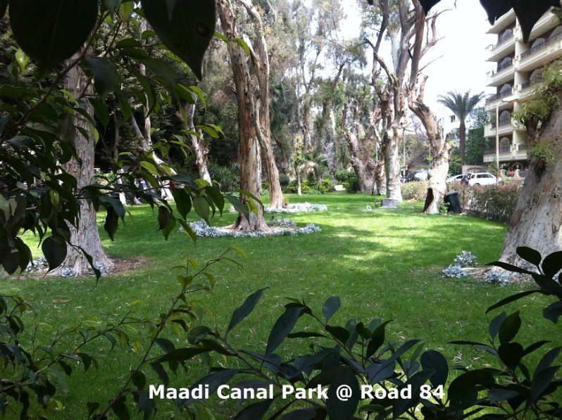 Canal Park