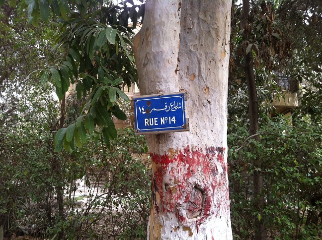 Road 14